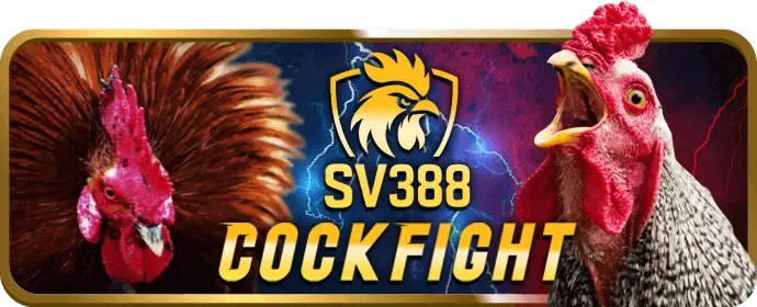 Chuyên gia tư vấn