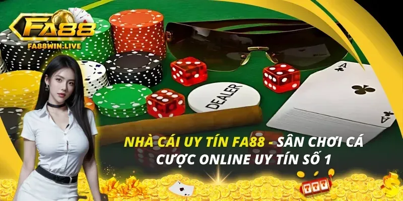 Tổng quan về Điều khoản Dịch vụ của kuwin24 login